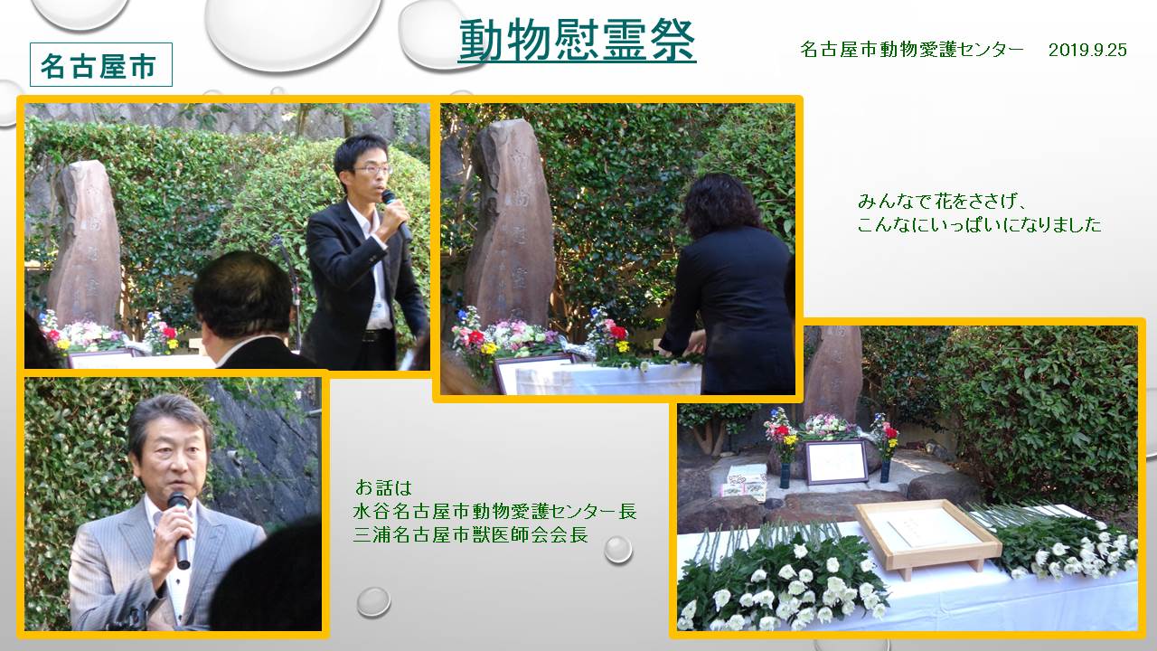 動物慰霊祭 愛知県 名古屋市 愛知県愛玩動物協会 動物慰霊祭 愛知県 名古屋市 愛知県愛玩動物協会
