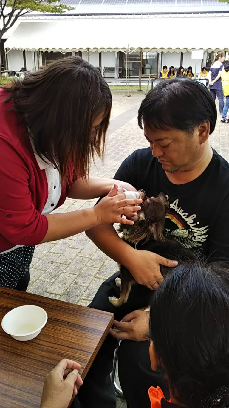 2018動物愛護フェスティバル 秋田県愛玩動物協会