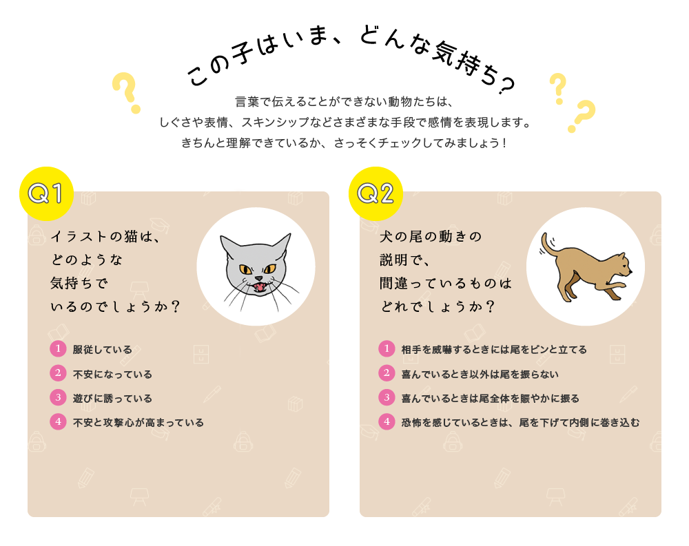 この子はいま、どんな気持ち？言葉で伝えることができない動物たちは、しぐさや表情、スキンシップなどさまざまな手段で感情を表現します。きちんと理解できているか、さっそくチェックしてみましょう！