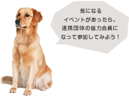 気になる イベントがあったら、連携団体の協力会員になって参加してみよう!
