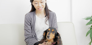 愛玩動物飼養管理士