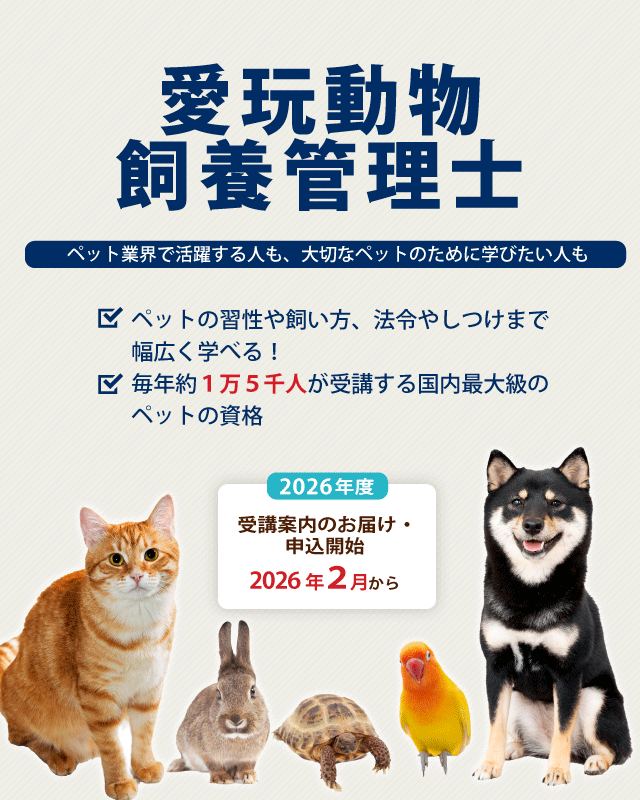 管理士スライダー20251219募集要項カラースマホ