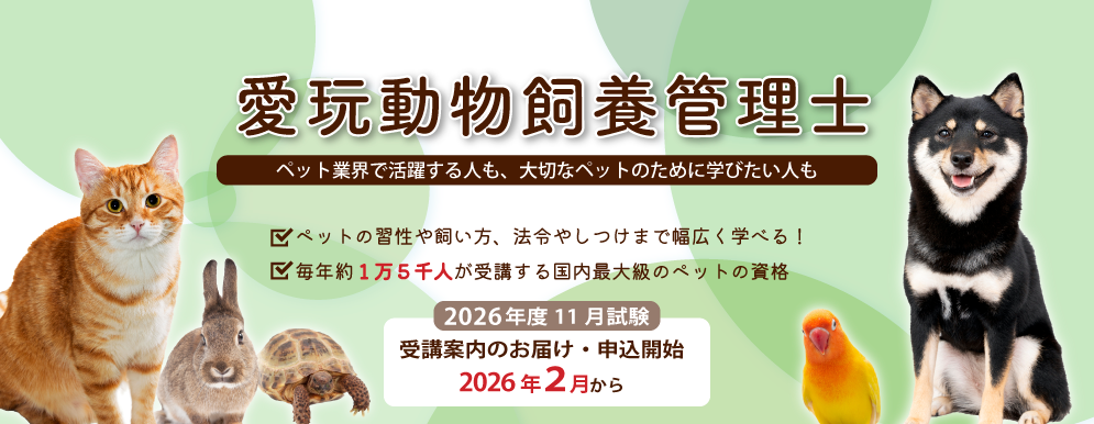 管理士スライダー20250902募集要項カラー