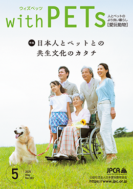 写真1