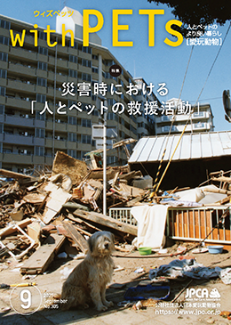 写真1