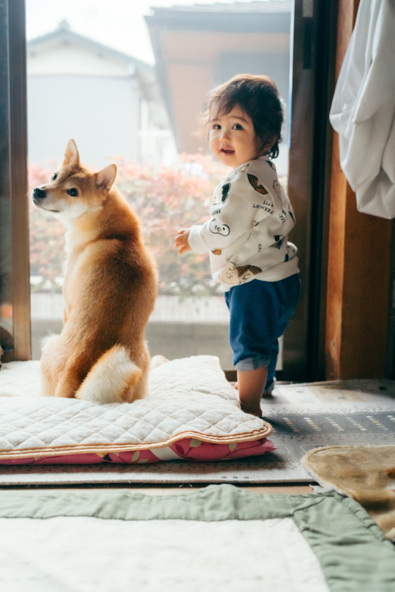 A1.加藤いづみ「おやつの時間でありますか？」