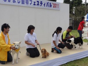 富里ステージ１