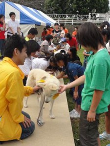 富里ふれあい