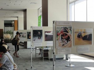 市川パネル展示