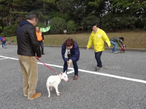 2012千葉市しつけ方実技2