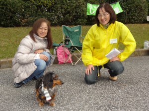 2012千葉市しつけ方実技5