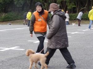 2012千葉市しつけ方実技6