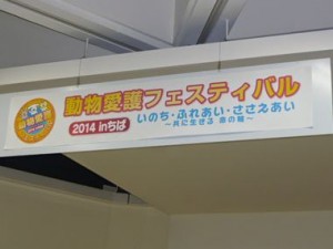 2014千葉市フェスティバル_t