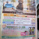 令和7年度沖縄県捨て犬捨て猫防止キャンペーン