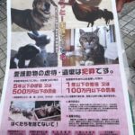 令和7年度沖縄県捨て犬捨て猫防止キャンペーン