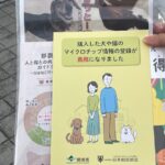 令和7年度沖縄県捨て犬捨て猫防止キャンペーン