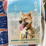 令和7年度 動物愛護街頭キャンペーン
