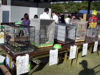 足羽山公園から様々な動物が来場