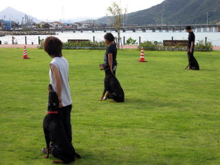 毎年恒例の福井警察犬訓練所さんによる警察犬の模範演技がおこなわれました