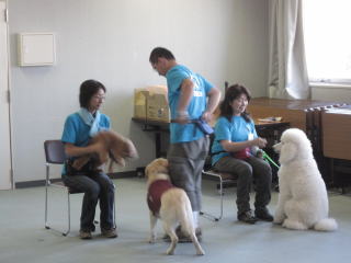 この後ろ向いているレトリーバーのワンちゃんは福井県で唯一の認定優良家庭犬です。そこに辿りつくまでの経緯もお話頂きました。