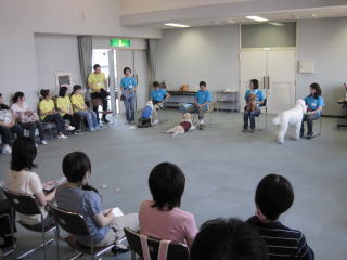 最後は大門由美子先生による「犬猫しつけ教室」です