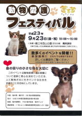 フェスティバルチラシ(表)