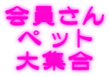 会員さん ペ ッ ト 大集合