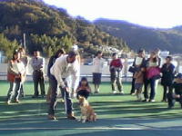 しつけ教室 講師デモンストレーション