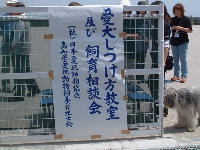 愛犬しつけ方教室