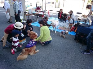 10_18海南健康祭り