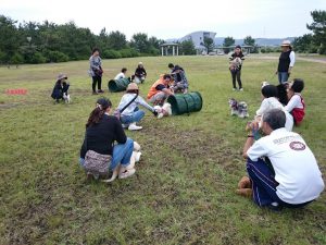 しつけ日高５月ひだ３